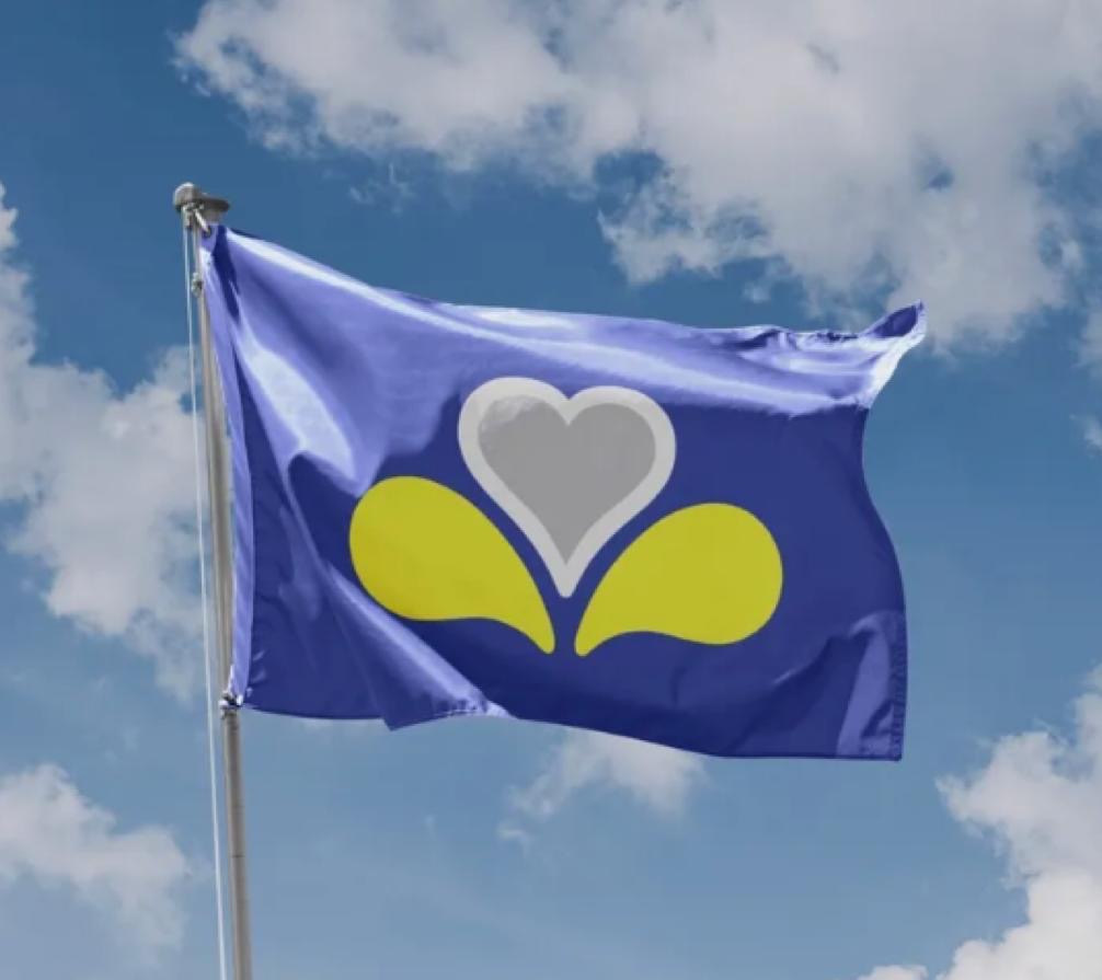 The Flag of Brussels. Yes it is a flower and a heart! 