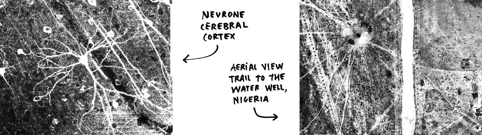 Neurone Cerebral Cortex Trail to the Water Well Marie Reig Florensa Neural Paths Humanist